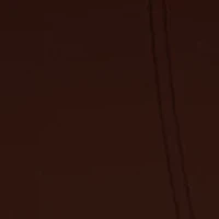 Dark Amber Ginger Lily Cologne - Intense
