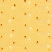 Endless Summer Original Detangler - Rays