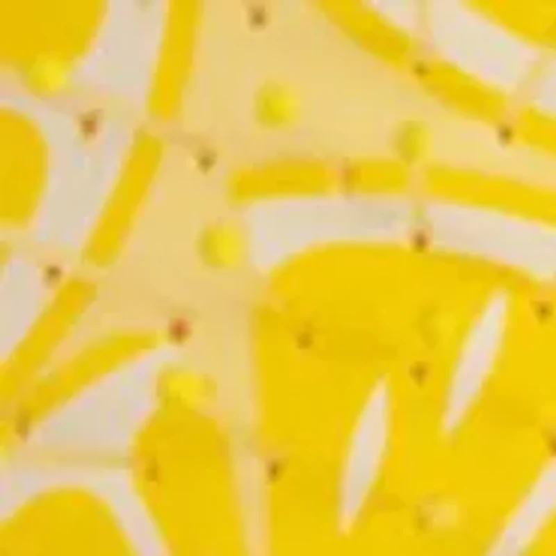 Con Tutti Fruitti Original Detangler