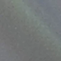 Mini Detangler Brush