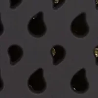 Frizz-Free Detangler Brush