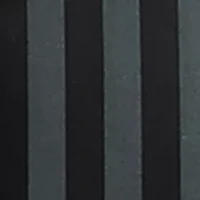 Power Brush Refill Heads