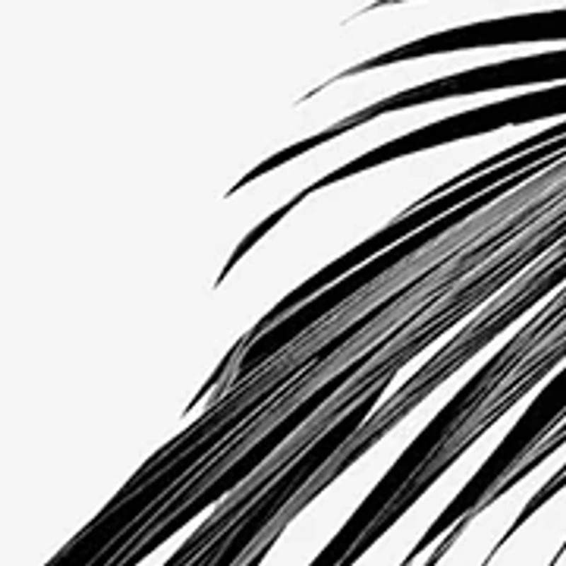 Pour Homme 4-Piece Gift Set - $222 Value!