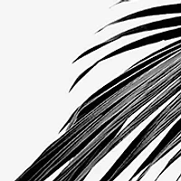 Pour Homme 4-Piece Gift Set - $222 Value!