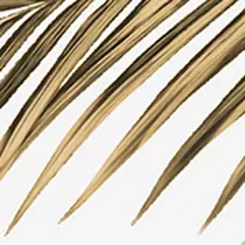 Pour Femme 4-Pc Gift Set - $207 Value!