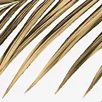 Pour Femme 4-Pc Gift Set - $207 Value!