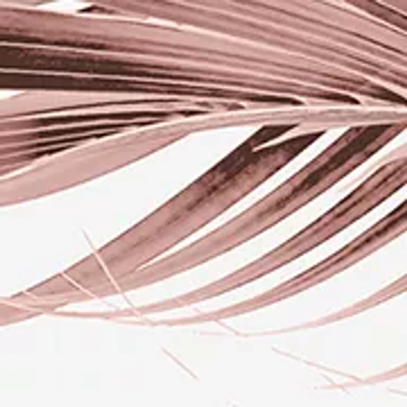 Pour Femme Absolu 4-Piece Gift Set - $207 Value!