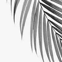 Pour Homme Absolu 4-Piece Gift Set - $222 Value!