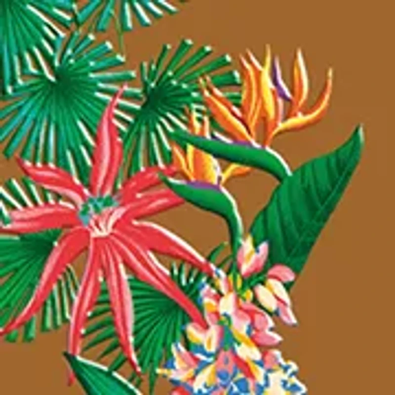 Eros Najim SP26 Set - $207 Value!