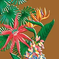 Eros Najim SP26 Set - $207 Value!