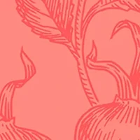  Rejuvenating Eye Sheet Mask