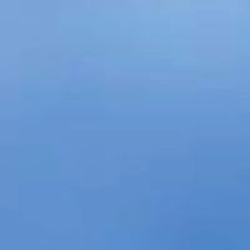 Blue Iris Foaming Bath & Shower Gel