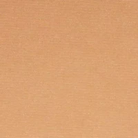 Bronzing Powder Soleil Cuivre 02