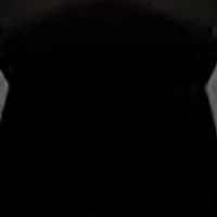 Leave In Heat Protectant Spray