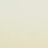 Professional Gradual Daily Tanning Moisturizer