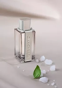 Bright Leather Eau de Toilette