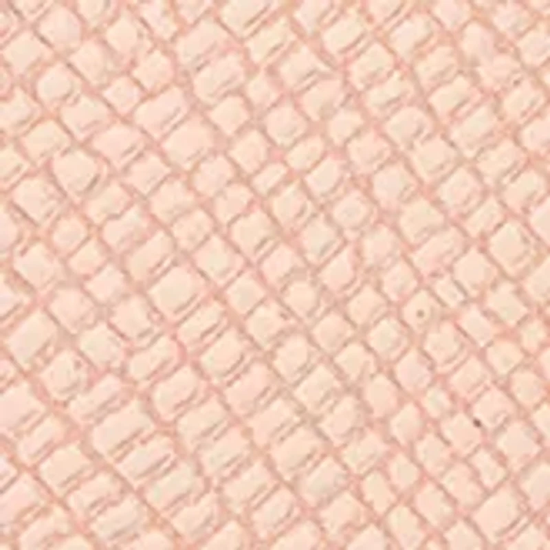 Alibi Eau de Toilette