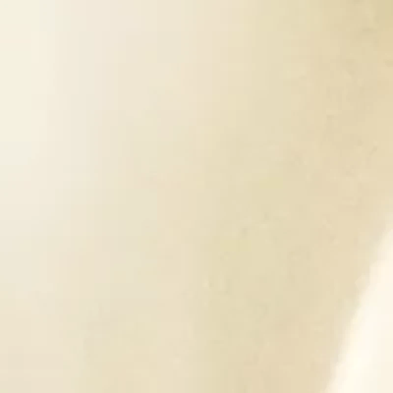 Cashmere Mist Eau de Parfum