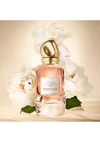 Cashmere Collection Cashmere & Rose Absolu Eau de Parfum