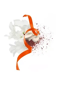 Signorina Unica Eau de Parfum