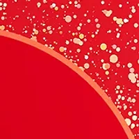 Signorina Unica 3-Piece Gift Set - $176 Value!