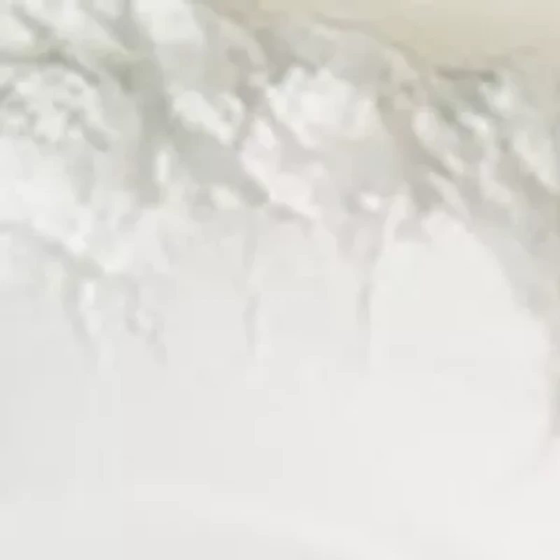 Hi-Definition Hydrating Mineral Perfecting Powder