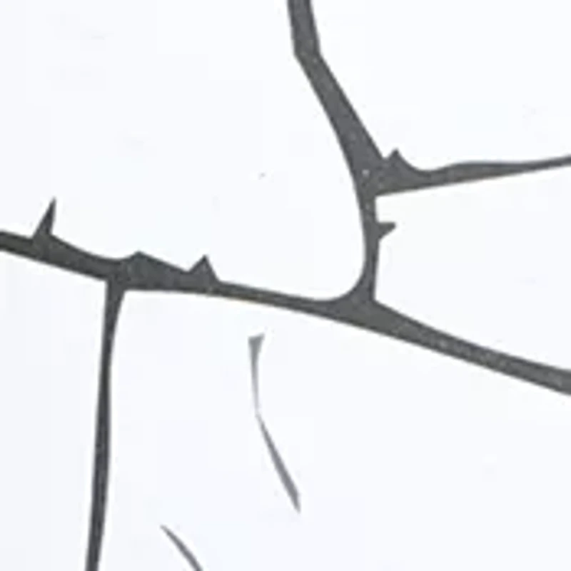 Bath Salts Gift Set with Natural Hers and Essentail Oils