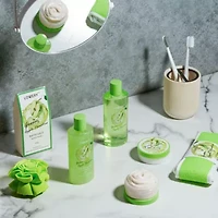 Green Apple Paradise Teachers Appreciation Basket, 9pc Aromatherapy Package