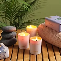15-Pc. Candle Gift Set with 12 Scented Home Candles, Calendar & Gold Pen