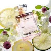 6-Pc. Damask Rose Romance Bath and Body Care Gift Set with Candle & More