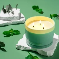Eucalyptus & Spearmint Home Candle Gift Set & Wax Trimmer, 2-Pc. Soy Candles
