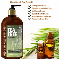 Tea Tree Shampoo, Made in USA, 16 oz.