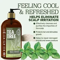 Tea Tree Shampoo, Made in USA, 16 oz.