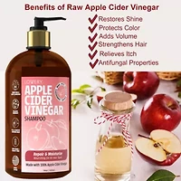 Apple Cider Vinegar Shampoo, Made in USA, 16 oz.