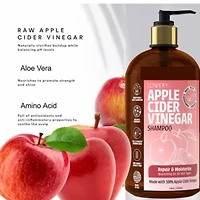 Apple Cider Vinegar Shampoo, Made in USA, 16 oz.