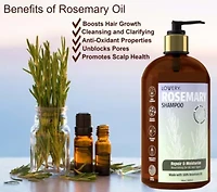Rosemary Shampoo, Made in USA, 16 oz.