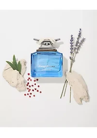 Maritime Journey Cologne