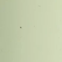 Brilliant Gloss Shampoo 