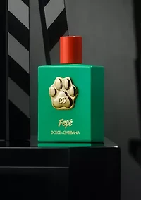 Fefé Fragrance 