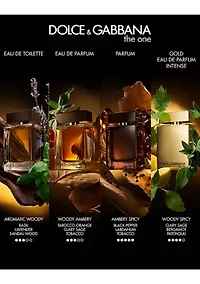 The One for Men Eau de Parfum