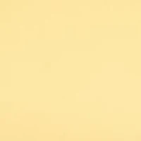 The One Eau de Parfum Intense