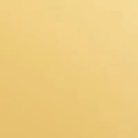 The One Gold Eau de Parfum Intense