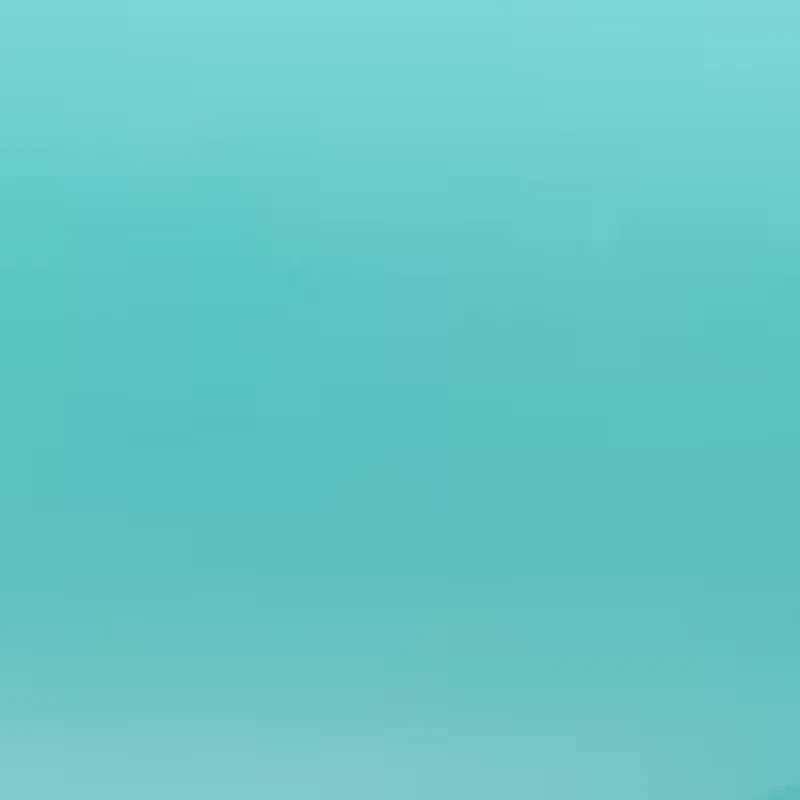 2400 Mini Foldable DC Hair Dryer