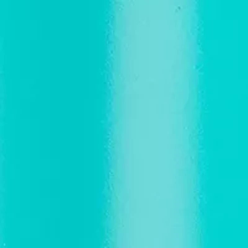 Portable 2-in-1 Hair Dryer With Volumizing Brush