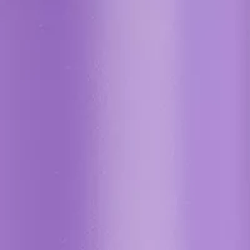 Portable 2-in-1 Hair Dryer With Volumizing Brush