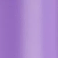 Portable 2-in-1 Hair Dryer With Volumizing Brush