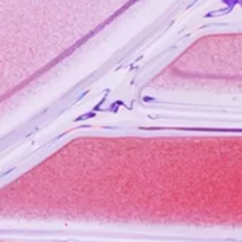 Ombre Purple Butterfly Hand Soap