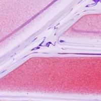 Ombre Purple Butterfly Hand Soap