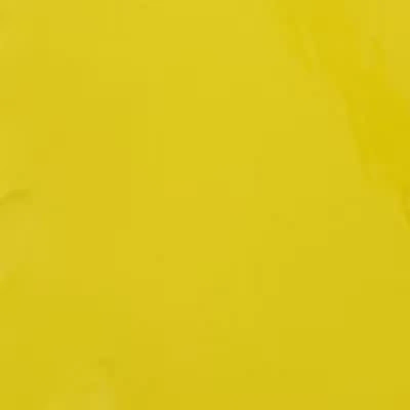 Lemon Slice Hand Soap