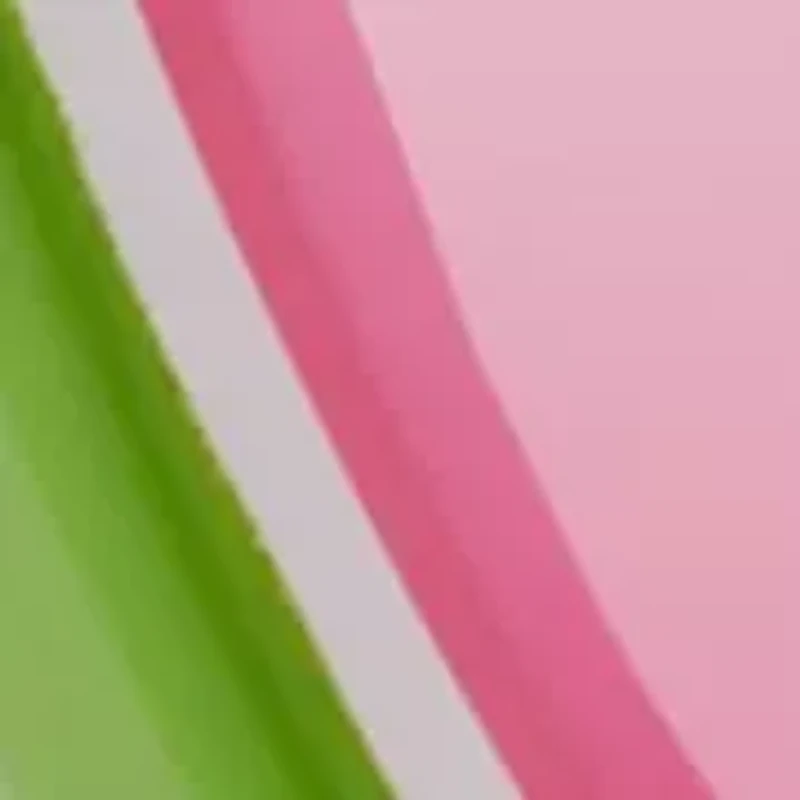 Watermelon Slice Soap Dispenser 